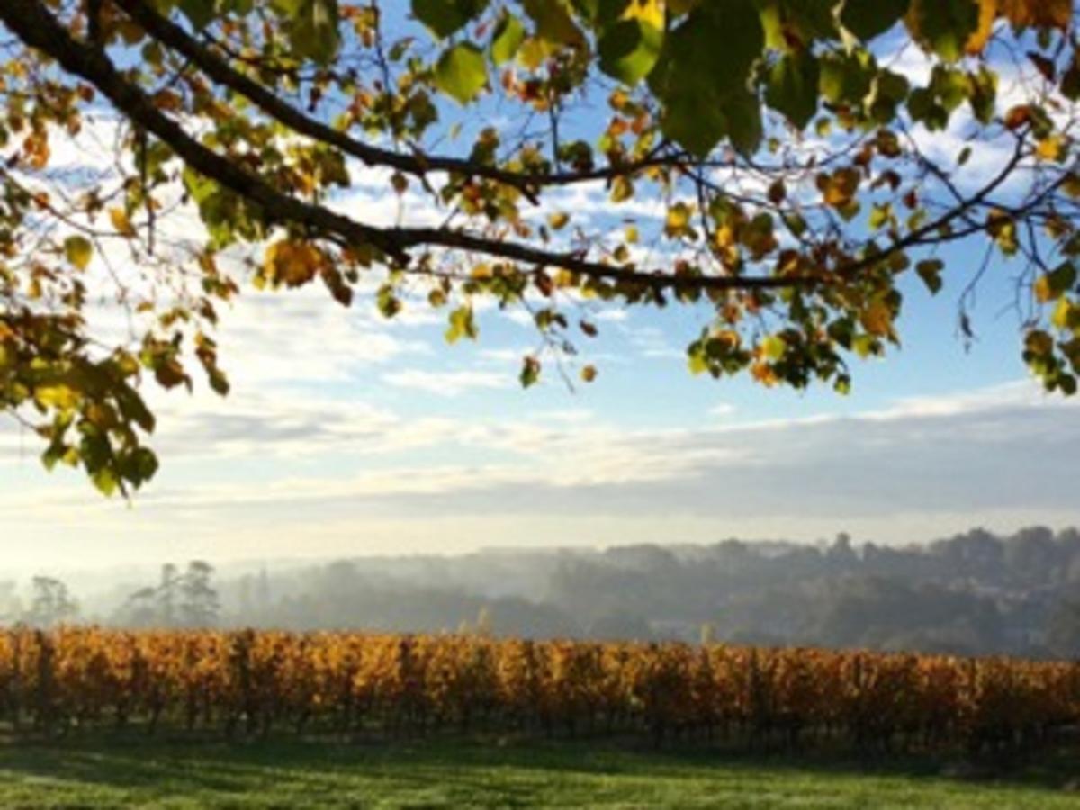 Chateau De La Ligne Lignan-de-Bordeaux Eksteriør bilde